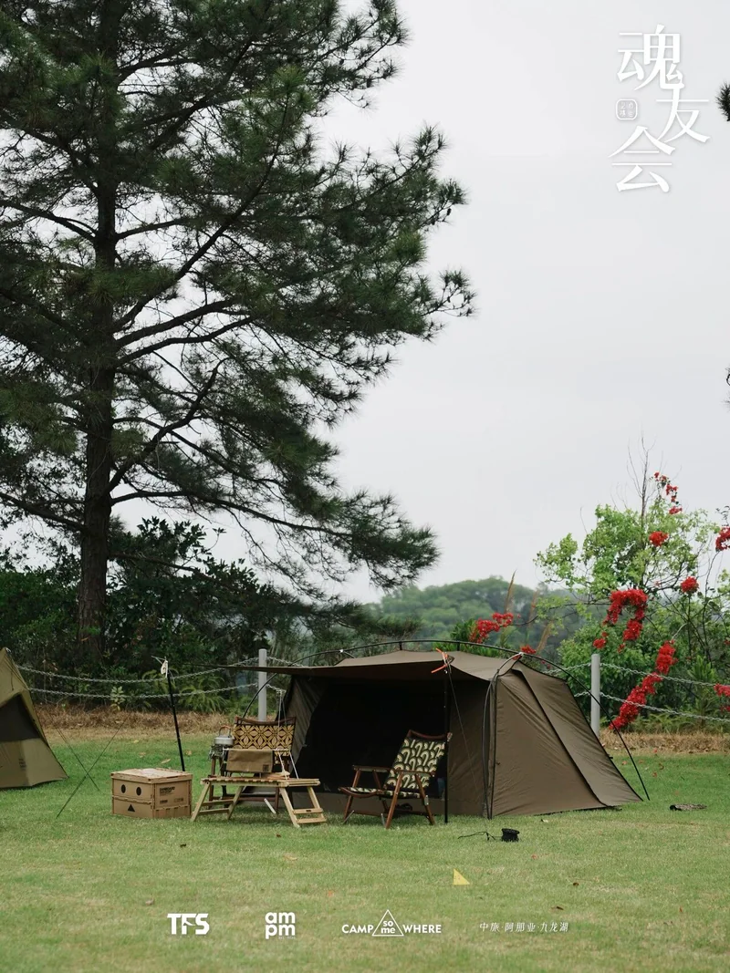 松树下的卡其色帐篷