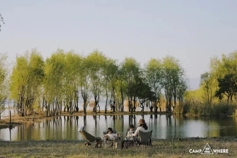 湖畔树木与营地
