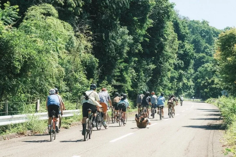 结伴穿过林间公路的骑行者