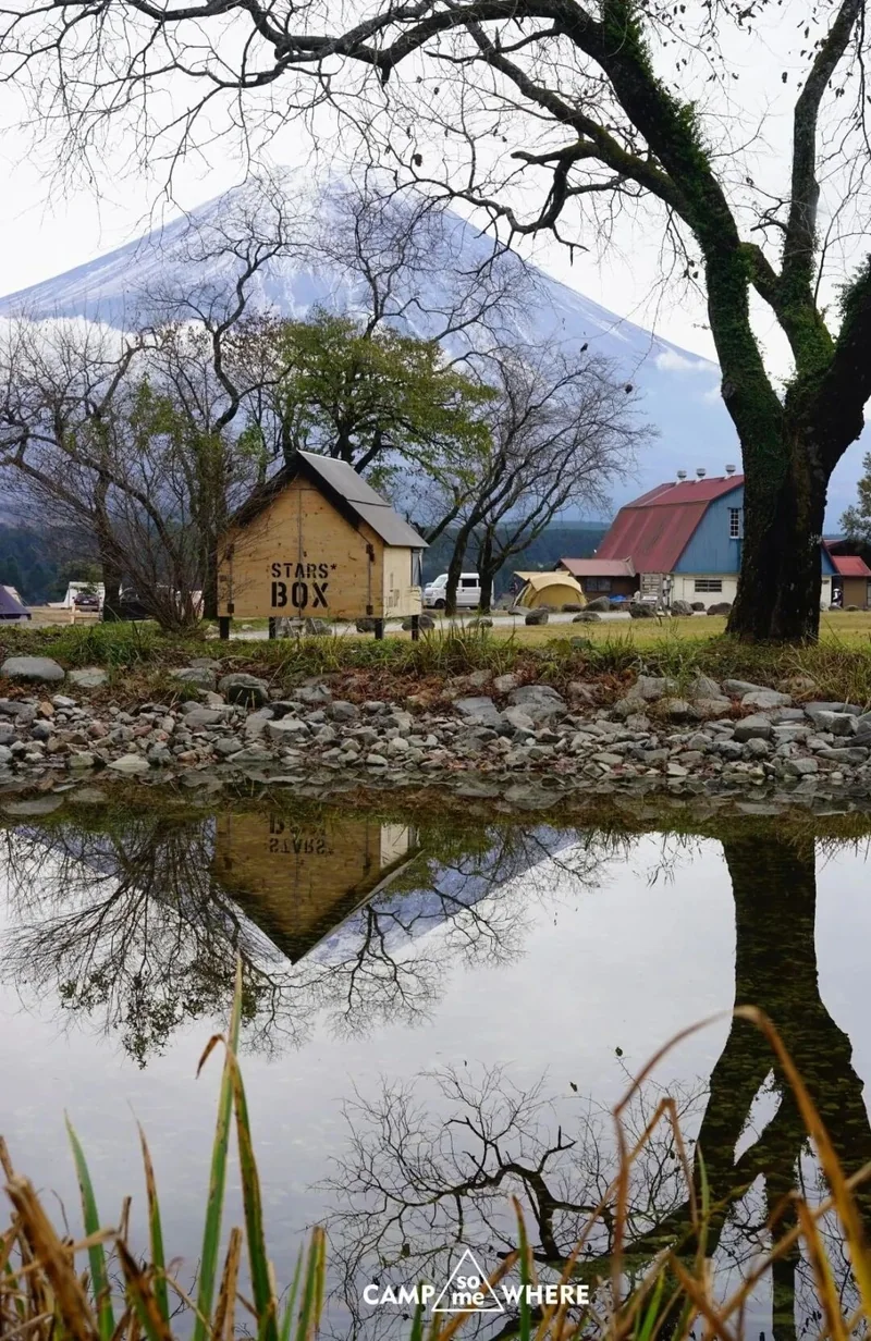 水池倒映的富士山与树木