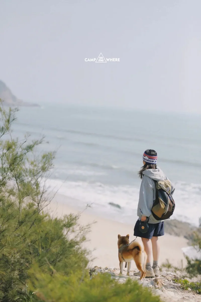 露营者与柴犬一起面向湖泊和远山