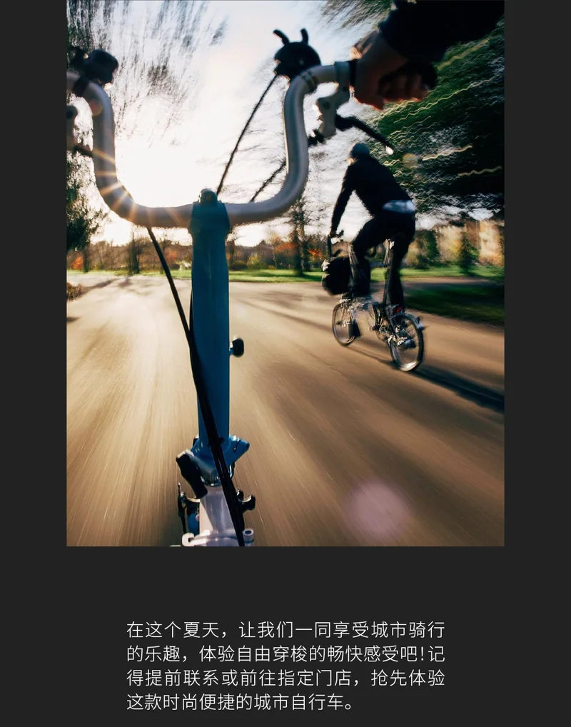 林荫道路上的骑行体验