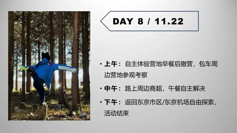 第 8 天:11 月 22 日行程