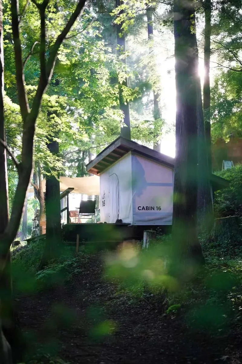 林间住宿建筑