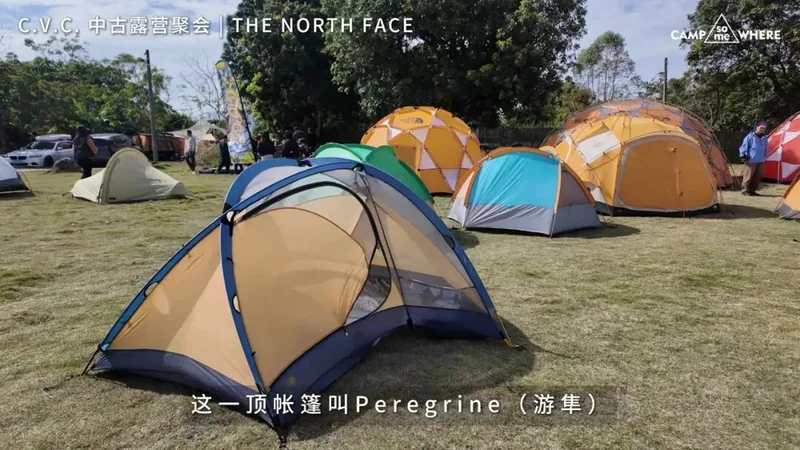CVC 草地上蓝色杆套和米黄帐布的 Peregrine
