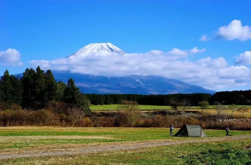 富士山前的营地草地