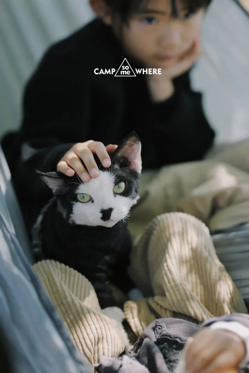 营地帐篷内，露营者抱着一只猫
